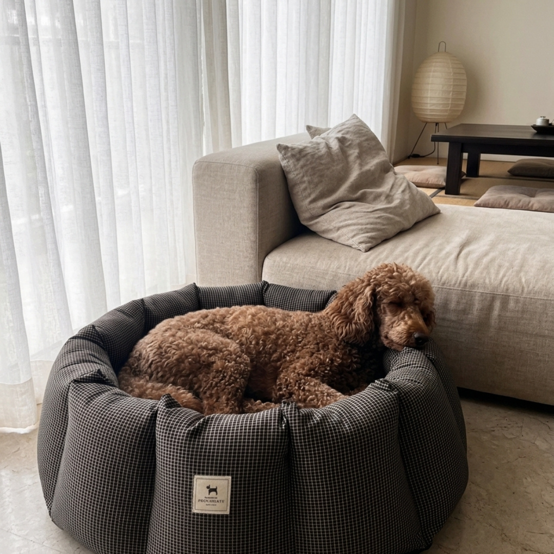 Round Dog Bed with raised sides | Washable Dog beds online India | Washable round dog beds India | Best curling beds for dogs India
