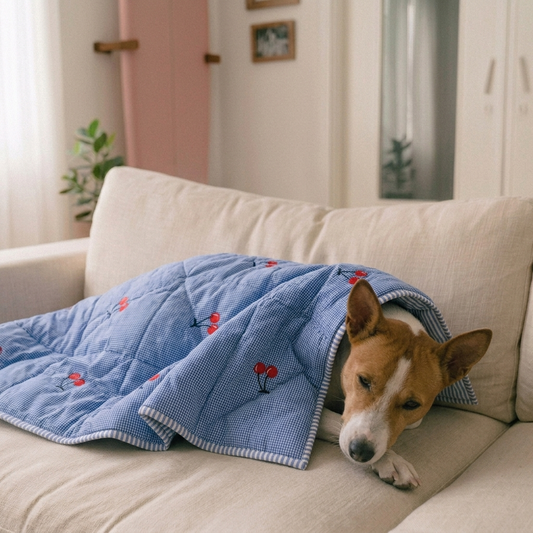 Soft cotton dog blanket | Pure cotton dog blanket| Best dog blanket online India | Luxury dog blankets online India| PoochMate Blanket