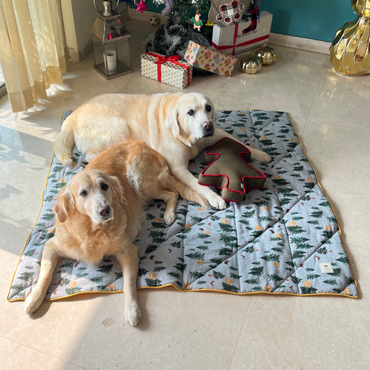 Dog blankets online hotsell