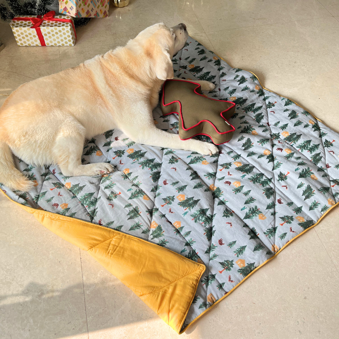 Dog Blankets India | Fleece Pet Blankets