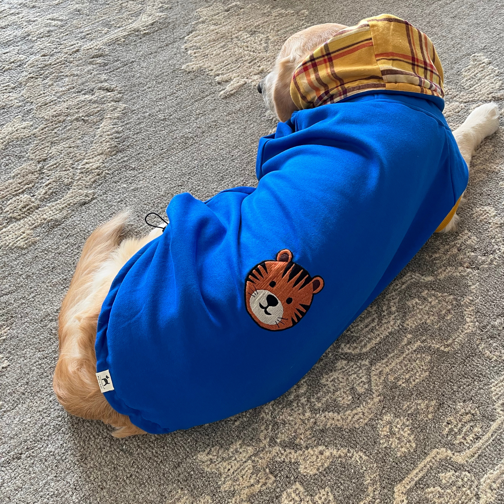 Dog hoodie for Labrador| Dog Clothes for winter