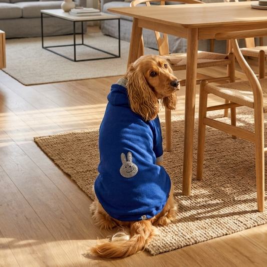 Dog sweatshirt online| Best dog sweatshirts | Dog winter clothes 0nline India | Dog Hoodie 
