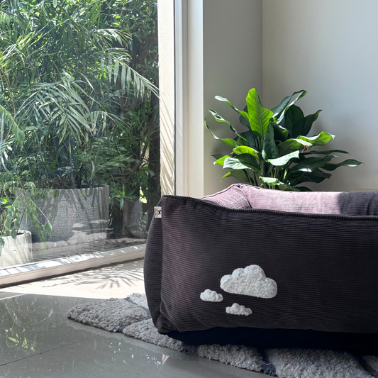 PoochMate Cocoa Corduroy Bolster Dog Bed - Large