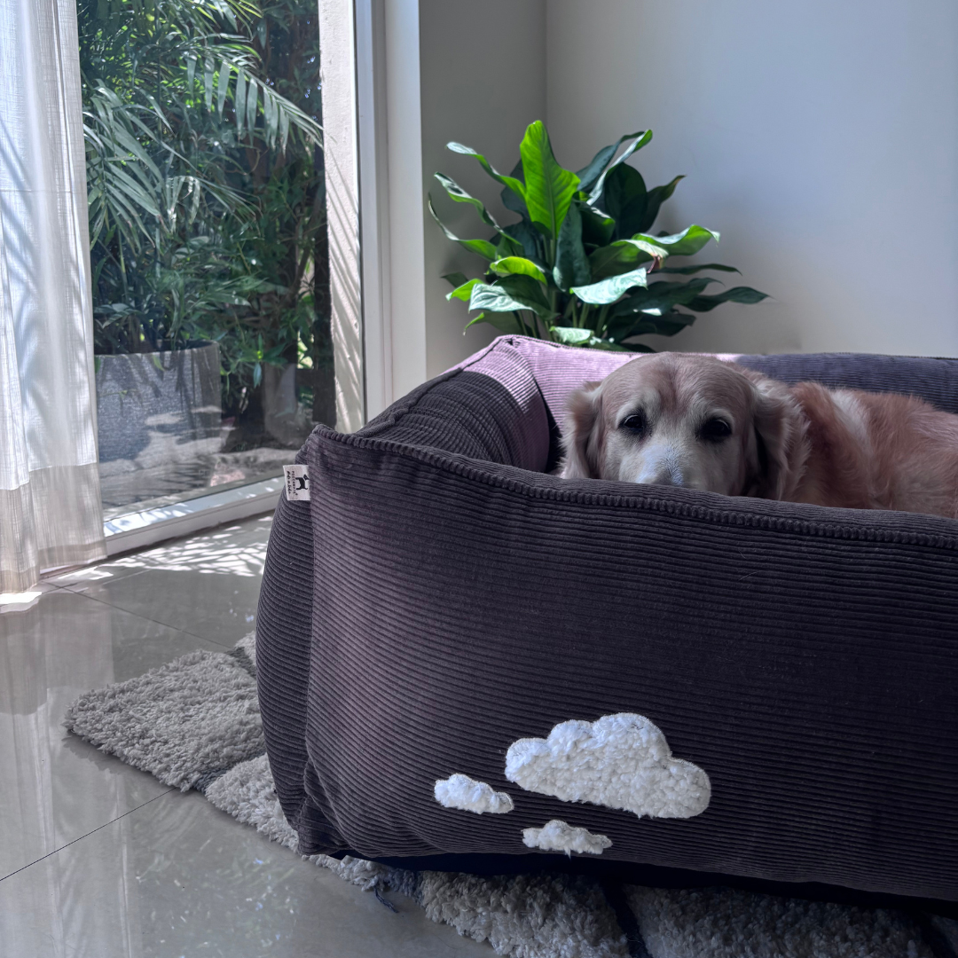 PoochMate Cocoa Corduroy Bolster Dog Bed - Large