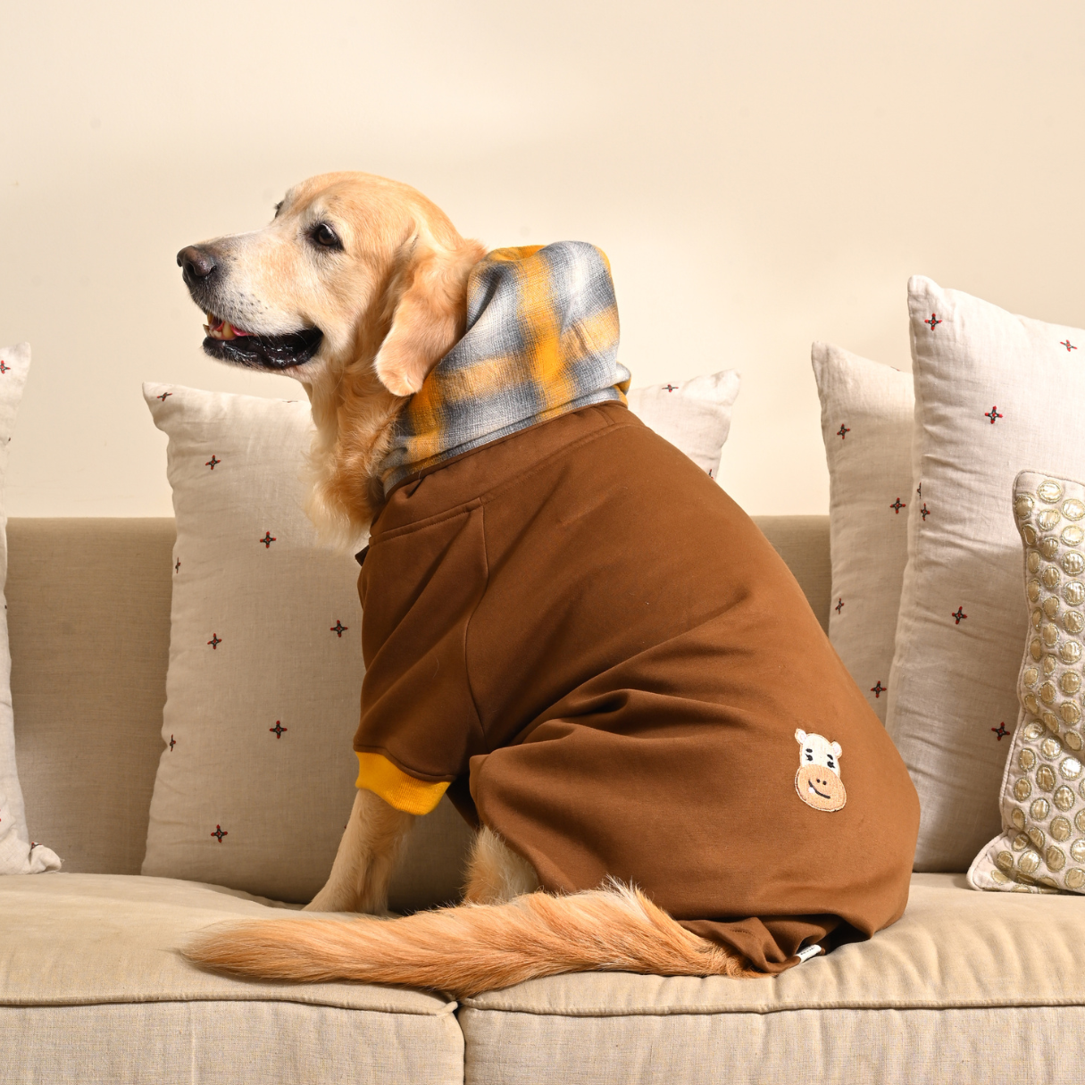 Dog Sweatshirts India | Hoodie for dogs 