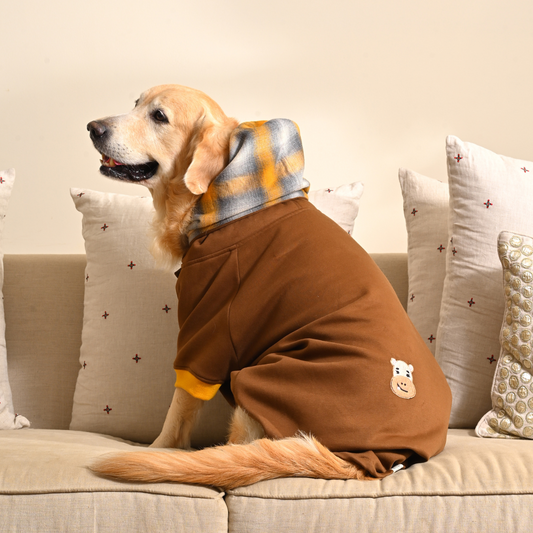 Dog Sweatshirts India | Hoodie for dogs 