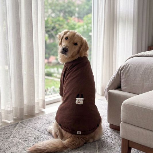 Dog sweatshirt online India| Best dog sweatshirts | Dog winter clothes online India| Dog Hoodie India| PoochMate India