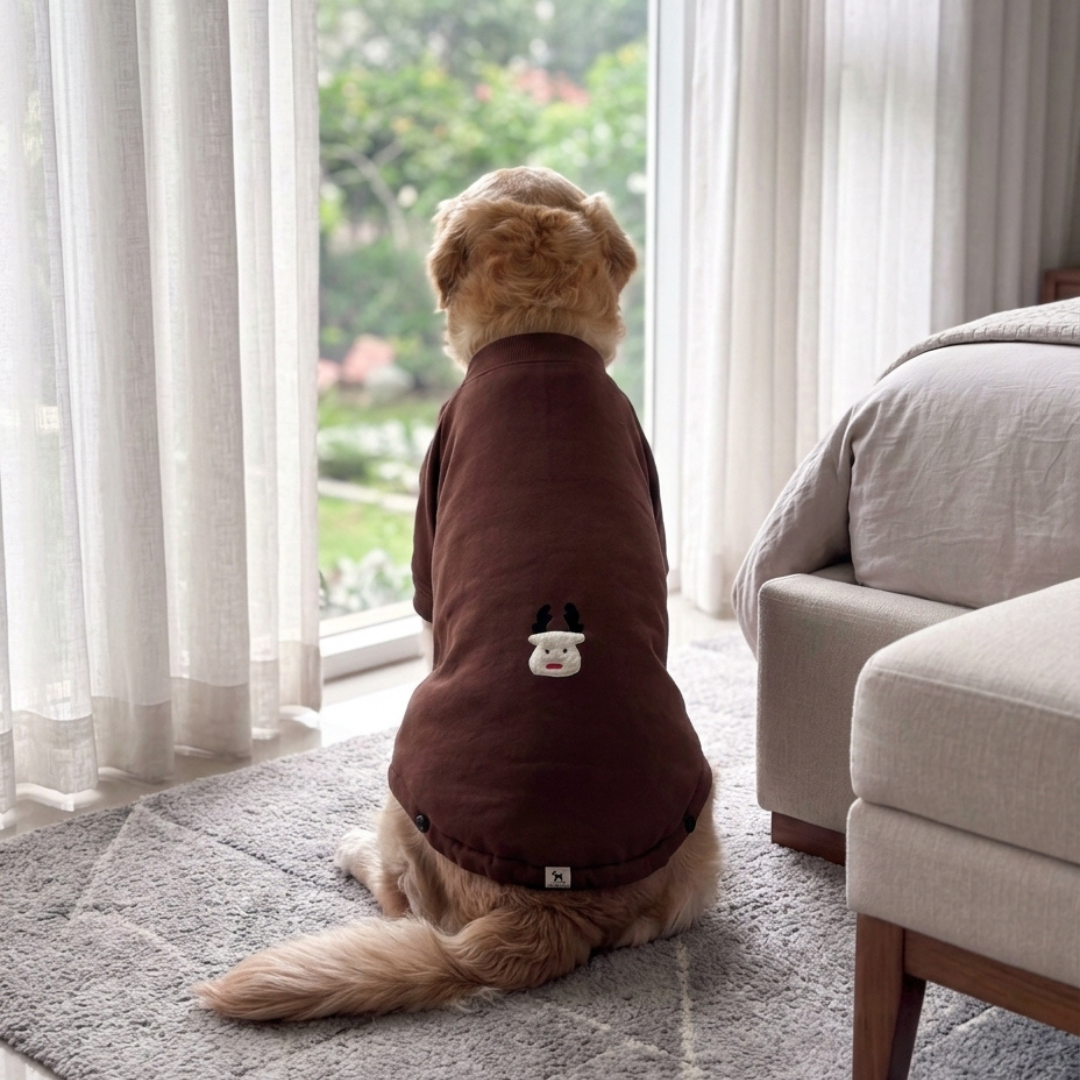Dog sweatshirt online India| Best dog sweatshirts | Dog winter clothes online India| Dog Hoodie India| PoochMate India