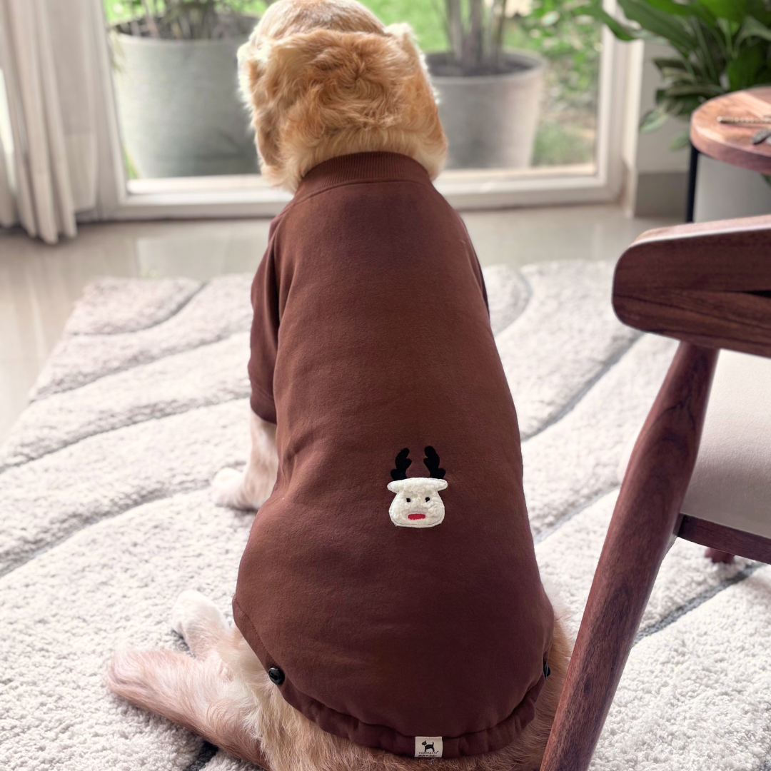 Dog winter clothes online India | Sweatshirts for dogs | PoochMate Dog Sweatshirts