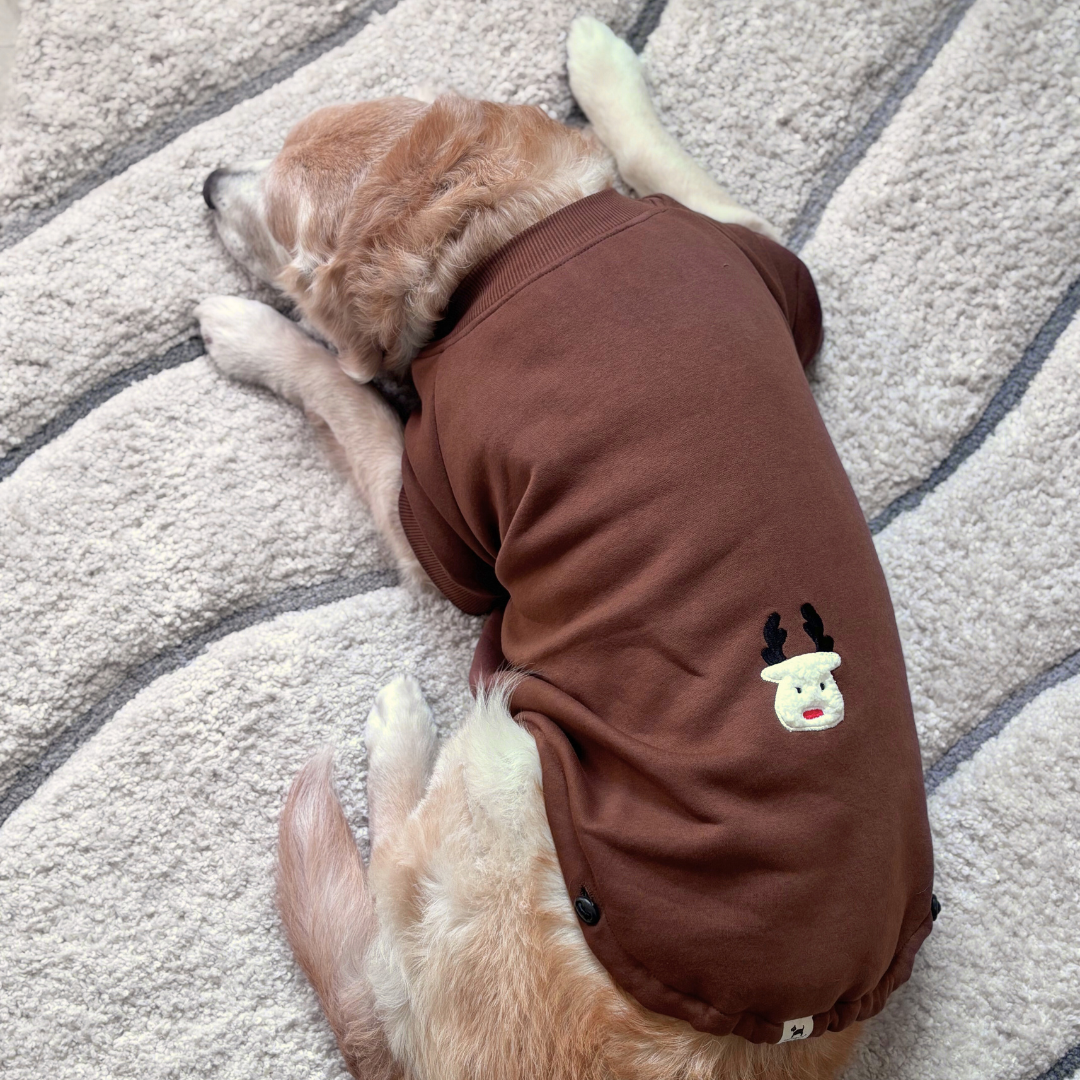 Best winter clothes online India | PoochMate Dog Sweatshirts
