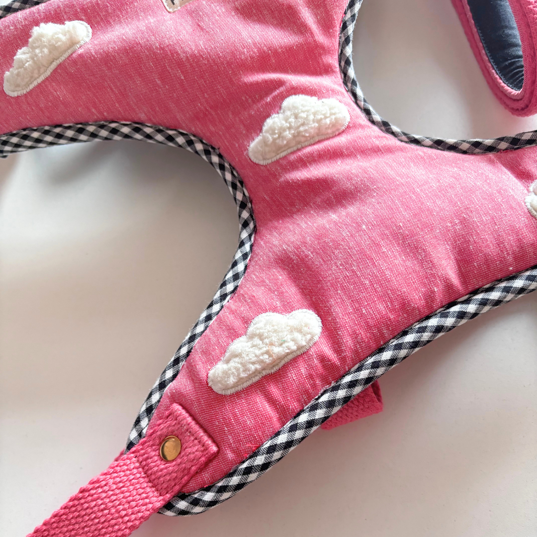 Luxury Dog Harness sets online India | Dog Harness India