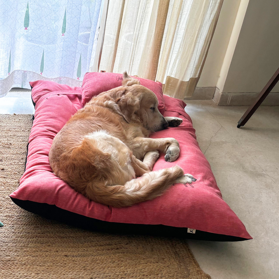 Flat dog beds | Extra Large dog beds India