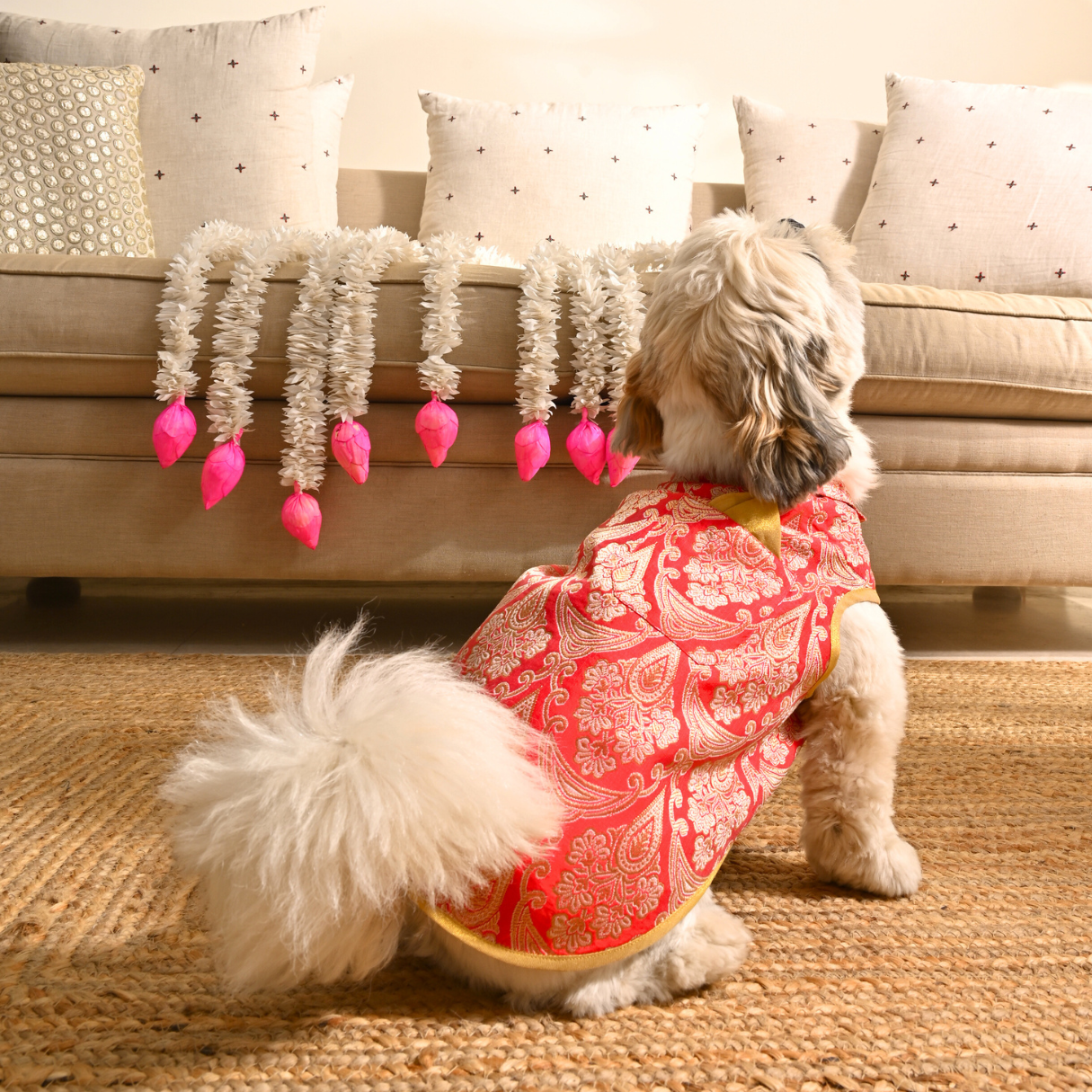 Wedding clothes for dogs | Dog Wedding dress India