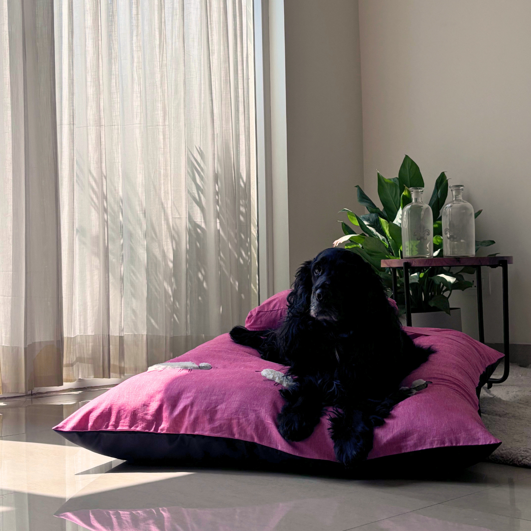 Flat Dog beds | Dog beds with washable covers | Cotton Dog Beds Online India