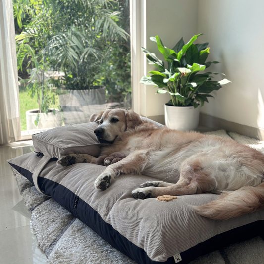 PoochMate Beige Cotton Corduroy Flat Dog Bed - Large