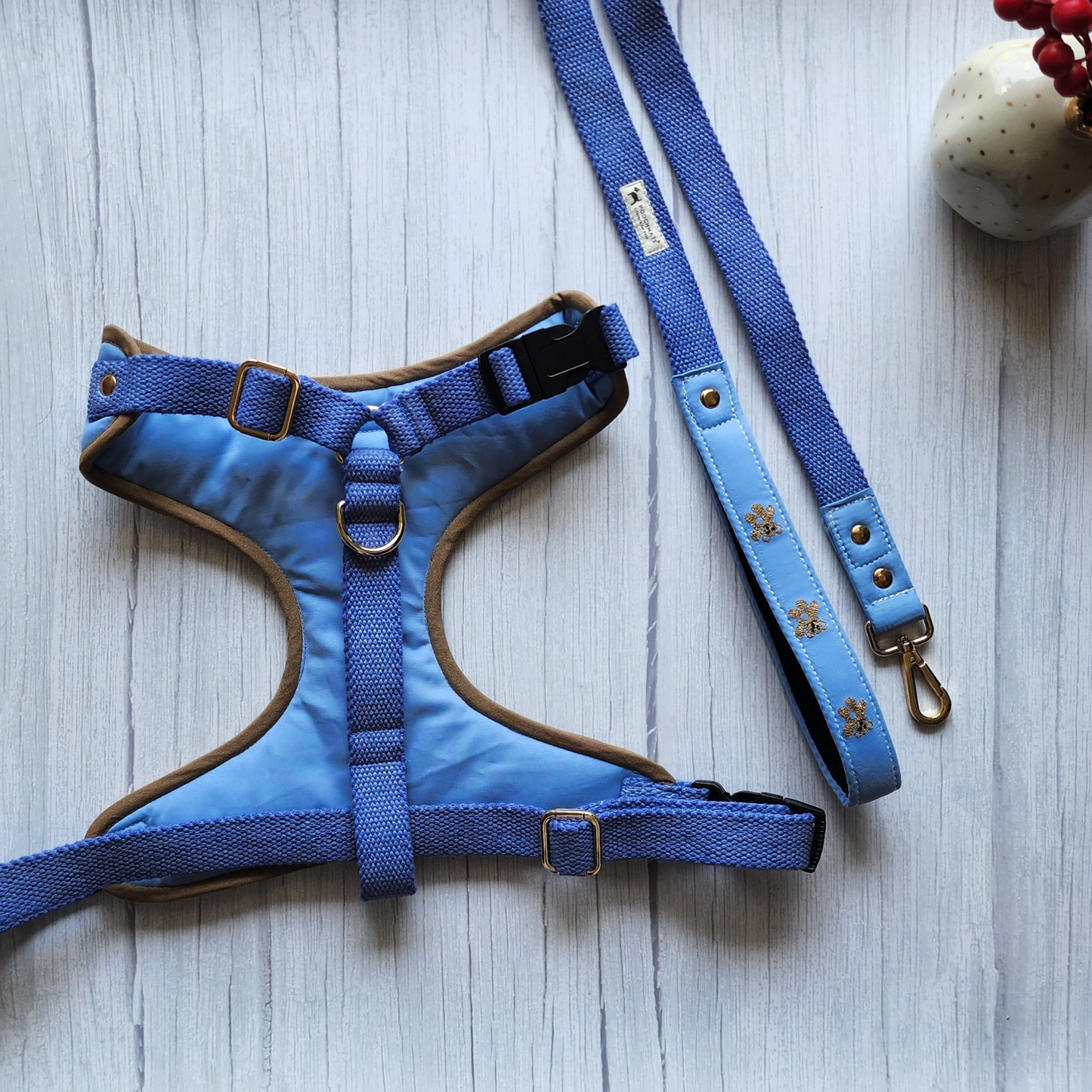 Baby blue dog sales harness