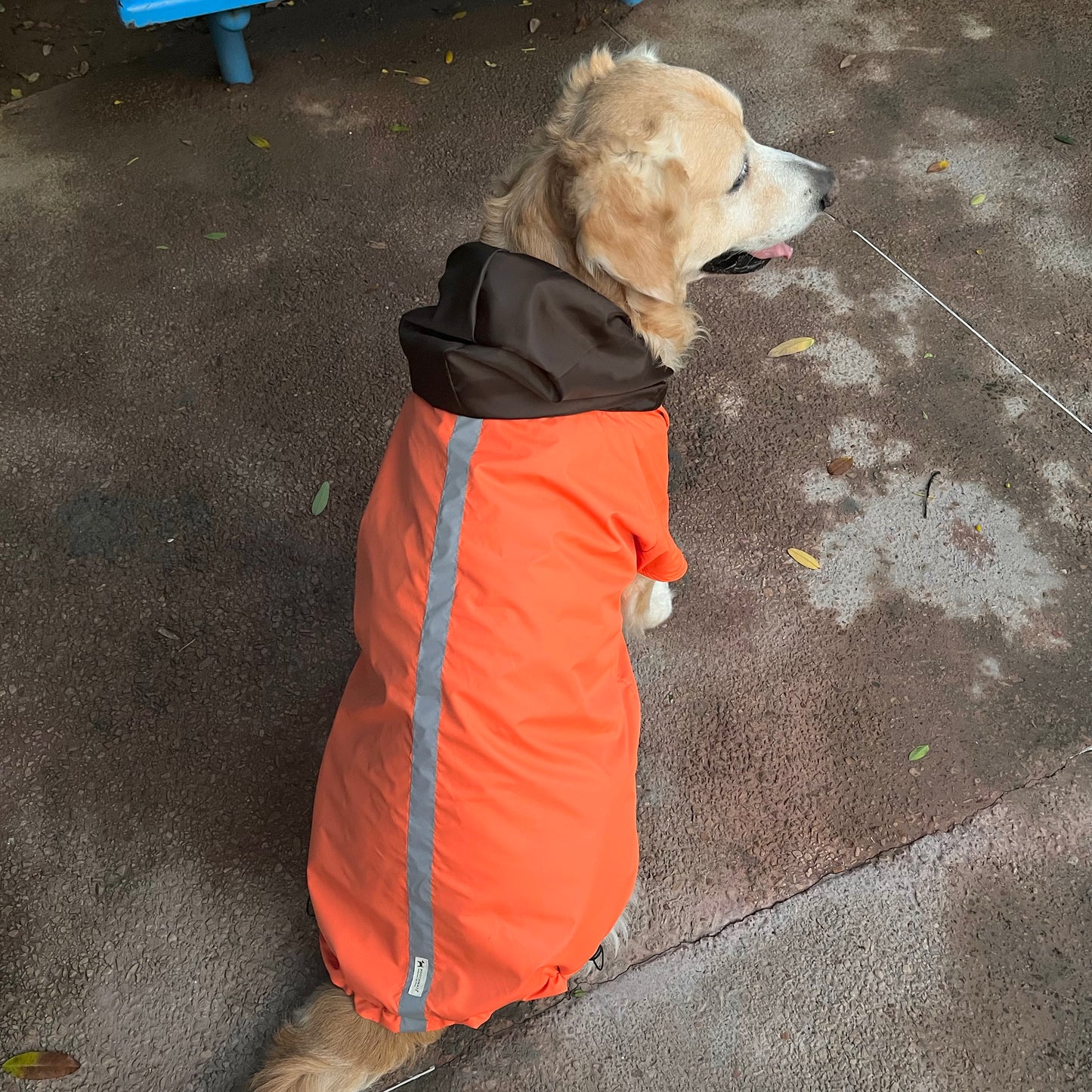 best dog raincoats online | Dog raincoats online India