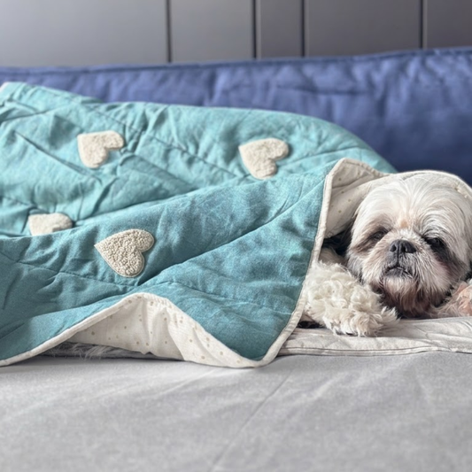 PoochMate Blanket | Soft cotton dog blanket | Soft blankets for pets | Best dog blankets online India