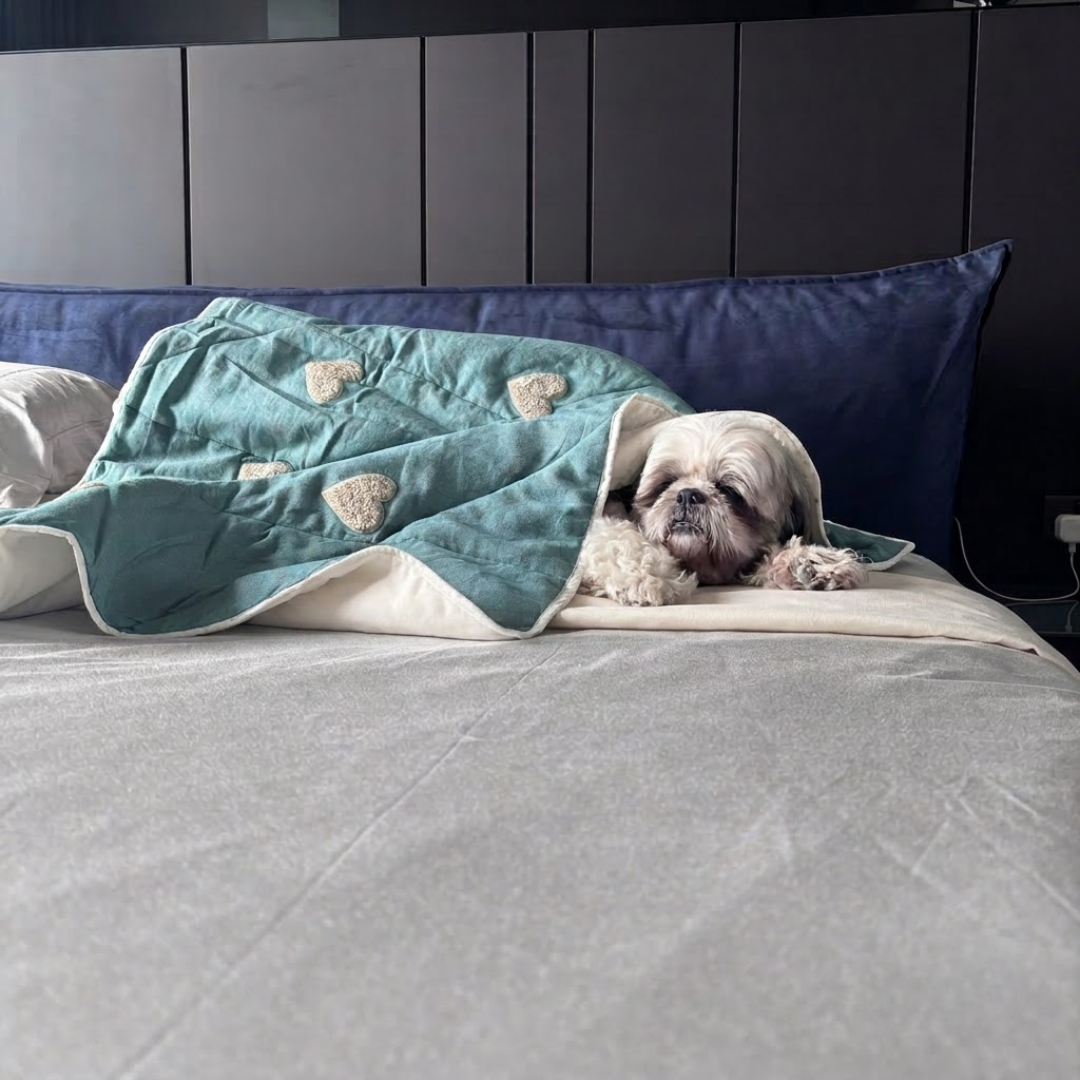 PoochMate Blanket | Soft cotton dog blanket | Soft blankets for pets | Best dog blankets online India