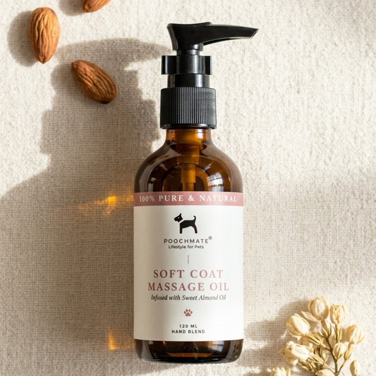 Massage Oil for dog | How to keep dog coat shiny | Best massage oil for dogs online India 