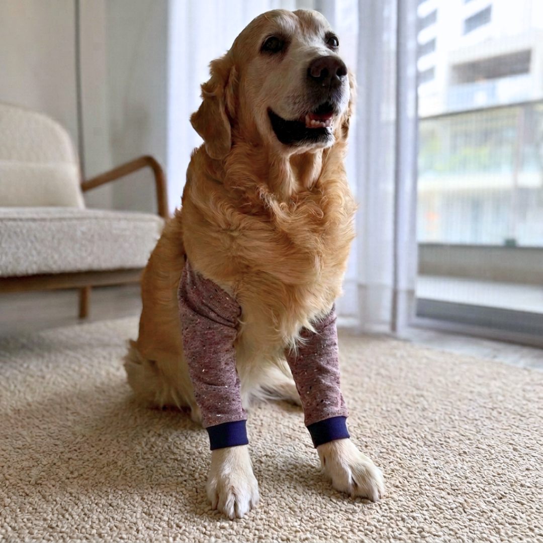 Dog Elbow Cover | Dog Elbow l Protector | Dog Elbow Callus Protector | Dog Elbow Sleeve | Elbow covers for dogs online India