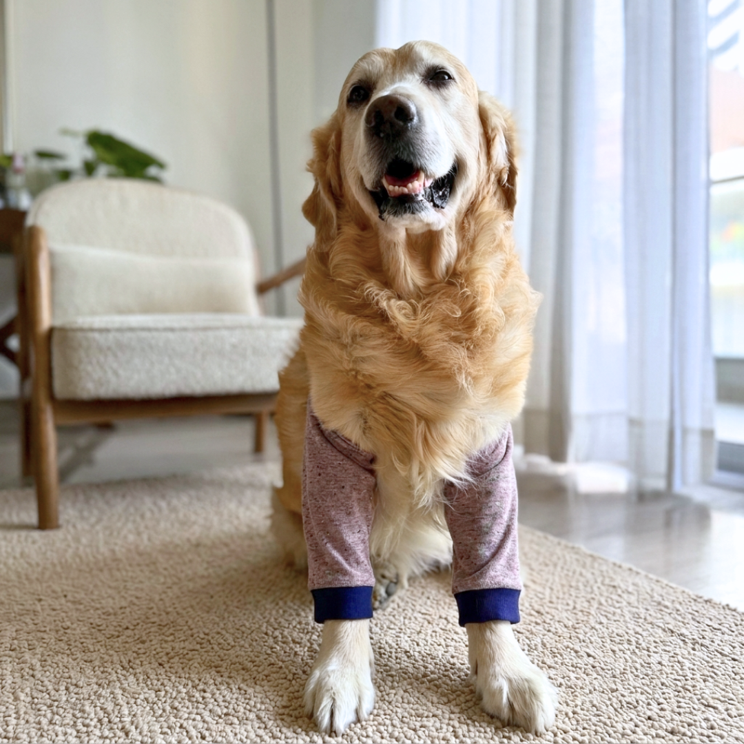 Dog Elbow Cover | Dog Elbow l Protector | Dog Elbow Callus Protector | Dog Elbow Sleeve | Elbow covers for dogs online India