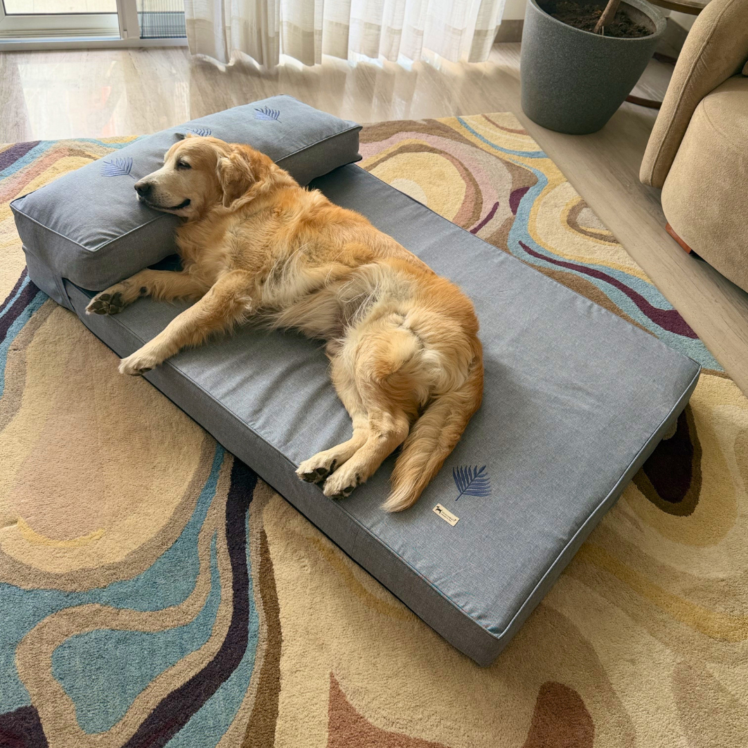 Orthopedic dog beds| Memory foam dog beds| Memory foam dog sofa bed | Memory foam dog bed with raised sides | PoochMate memory Foam Dog bed