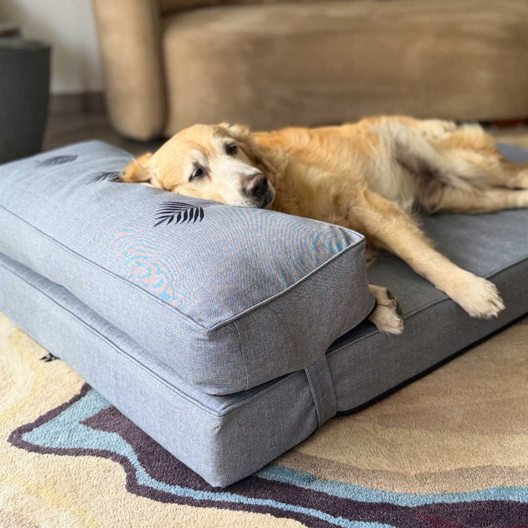 Orthopedic dog beds| Memory foam dog beds| Memory foam dog sofa bed | Memory foam dog bed with raised sides | PoochMate memory Foam Dog bed