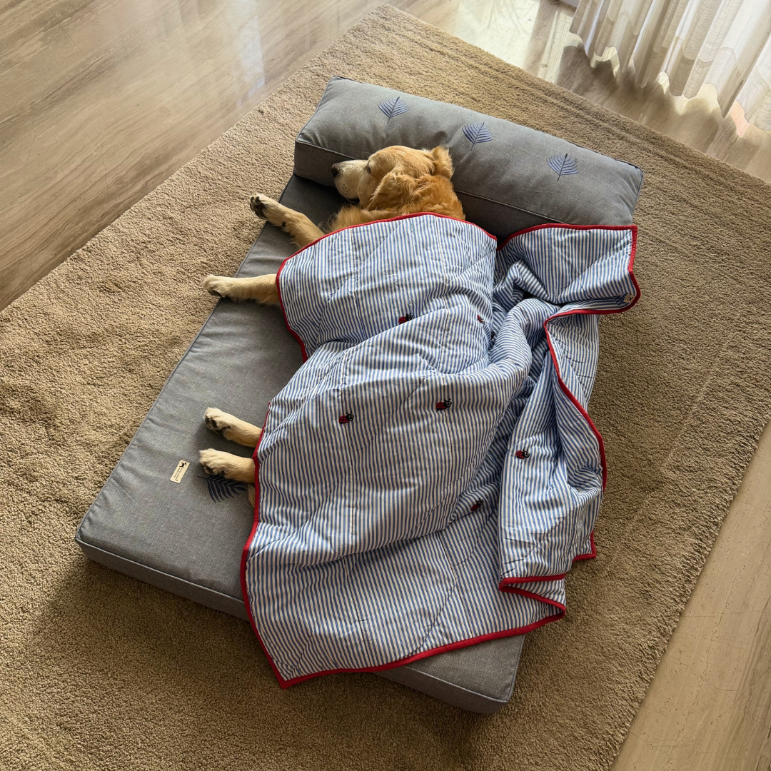 Orthopedic dog beds| Memory foam dog beds| Memory foam dog sofa bed | Memory foam dog bed with raised sides | PoochMate memory Foam Dog bed
