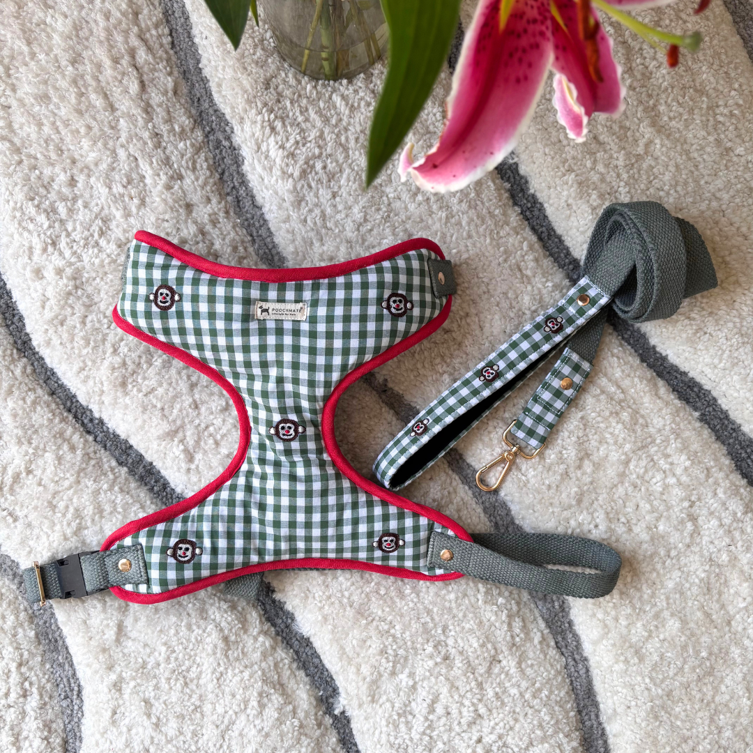 Dog Harness | Dog Body belt online India