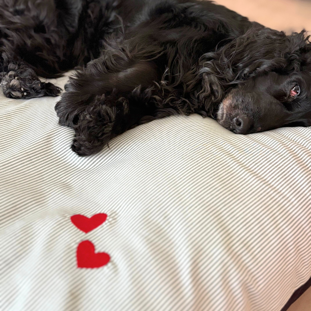 Large dog beds online India | Flat dog beds online India