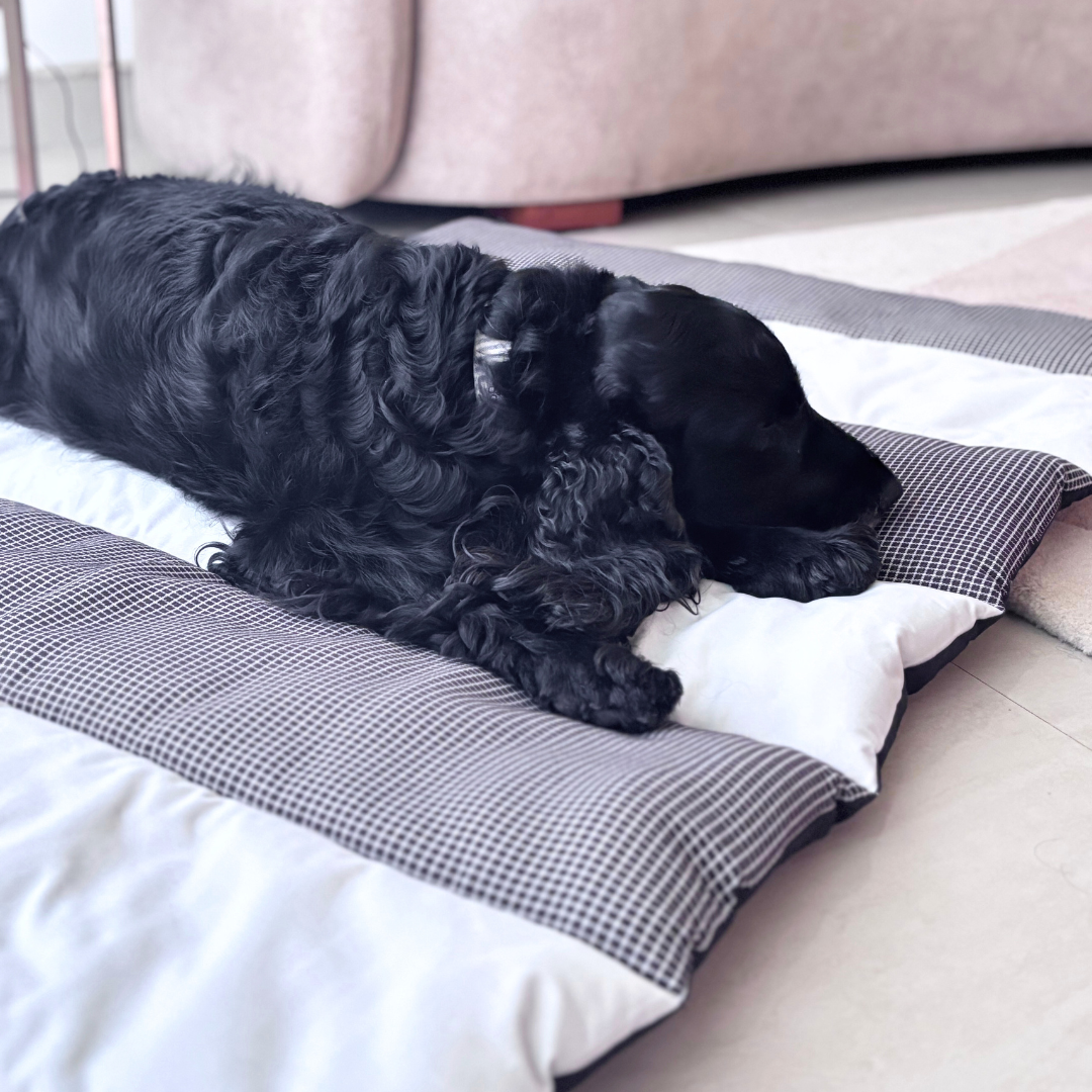 Large dog mats | Large Pet Mats online India