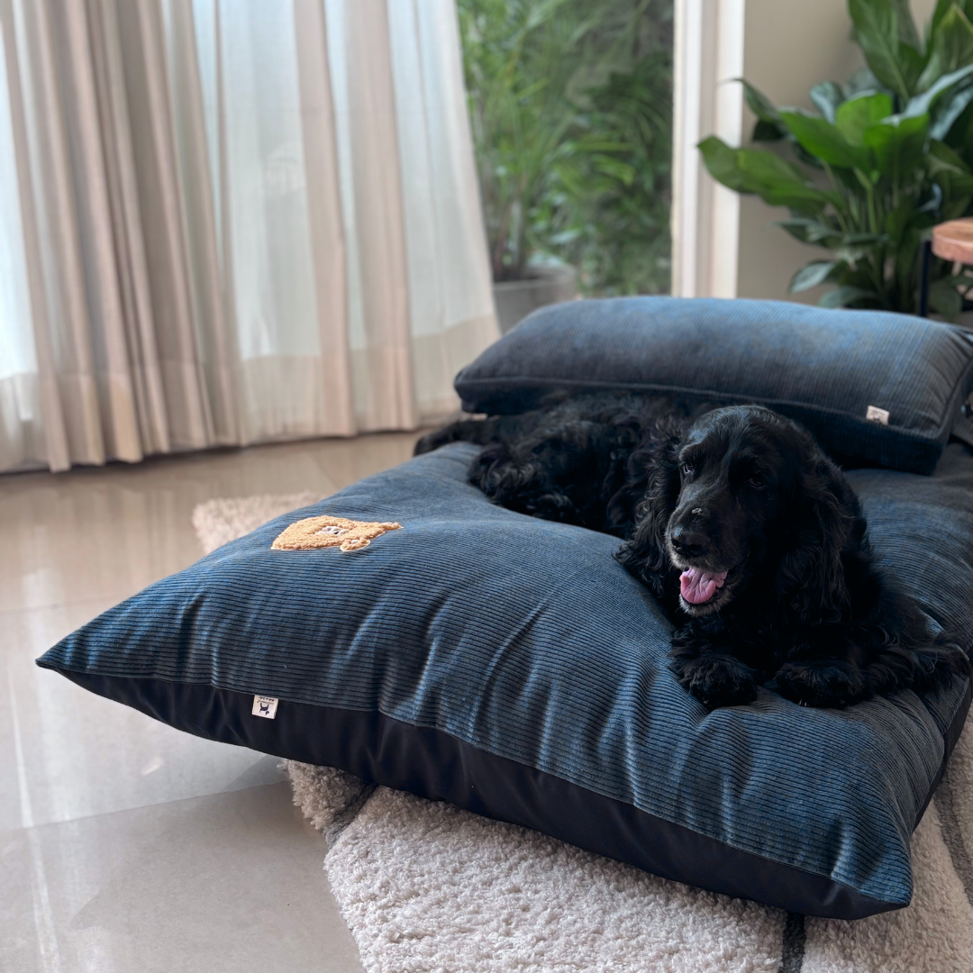 Flat dog beds | Dog beds with removable cover | PoochMate Beds