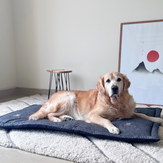 Large dog mats | Large Pet Mats | Cotton Mats for dogs