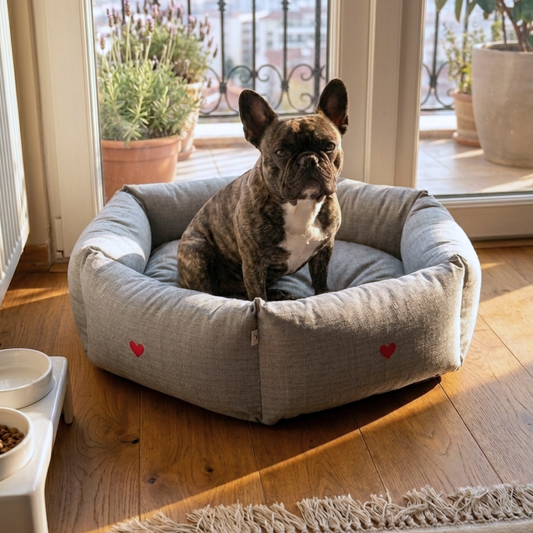 PoochMate Dog Beds | Best dog beds online India | Dog beds with removable covers | Washable dog beds online India