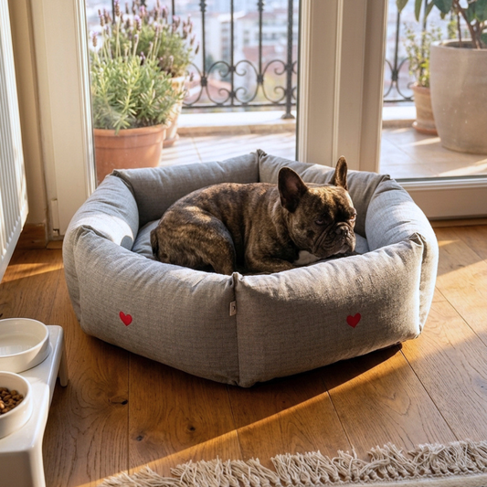 PoochMate Dog Beds | Best dog beds online India | Dog beds with removable covers | Washable dog beds online India