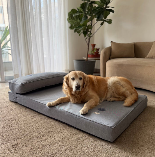 Orthopedic dog beds| Memory foam dog beds| Memory foam dog sofa bed | Memory foam dog bed with raised sides | PoochMate memory Foam Dog bed