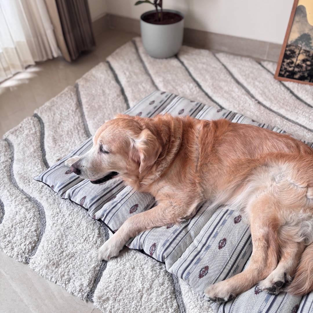 Large dog mats | Large Pet Mats online India