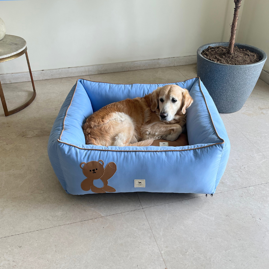 Large dog beds with removable covers