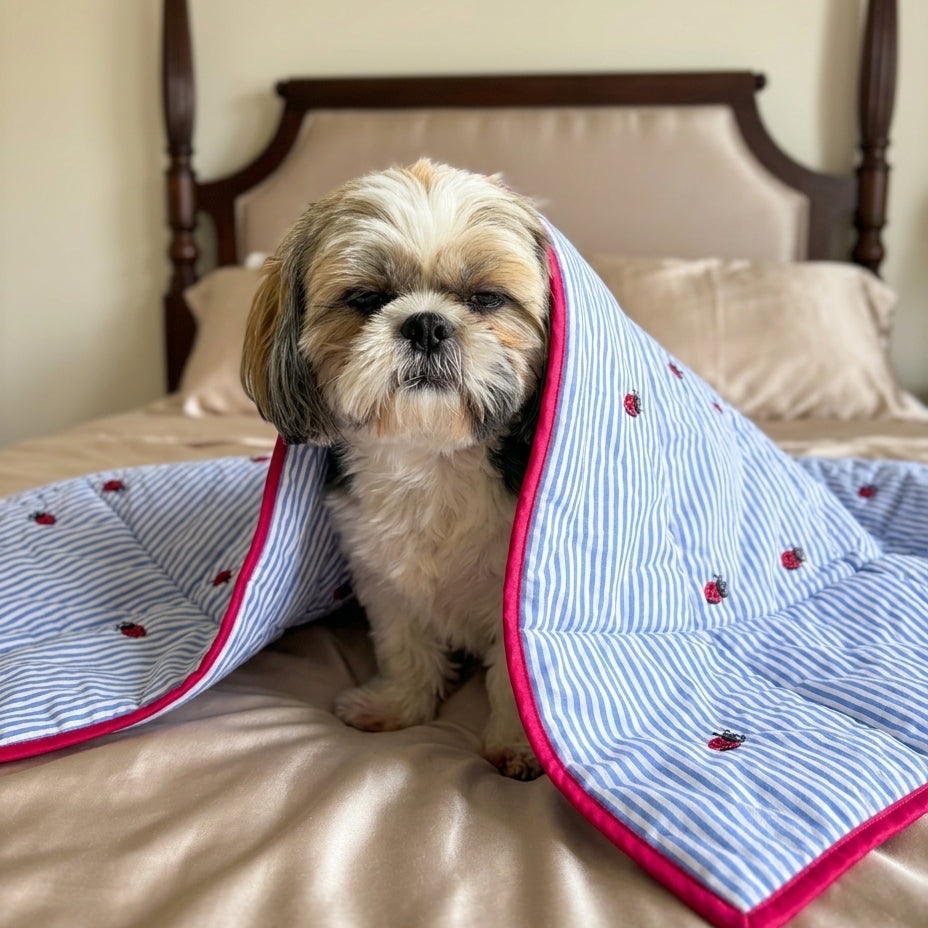 Cotton dog Blanket | Linen dog blanket | Luxury dog blankets online India| Soft blankets for small dogs India