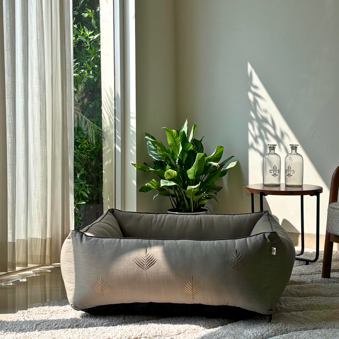 Large dog beds online India | Dog beds with washable covers | PoochMate Beds