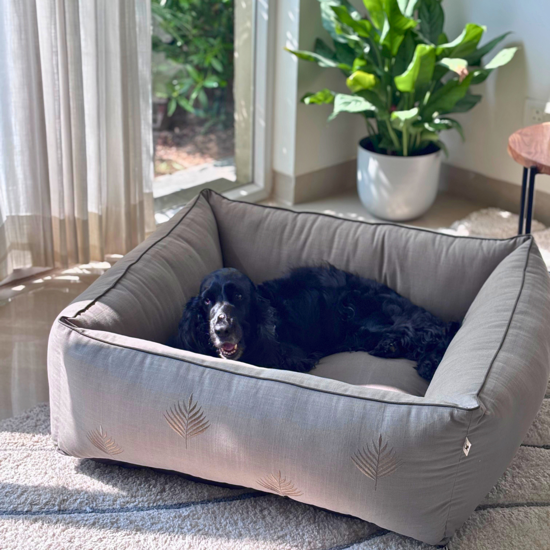Medium dog beds India | Dog bed with washable covers | best dog beds India