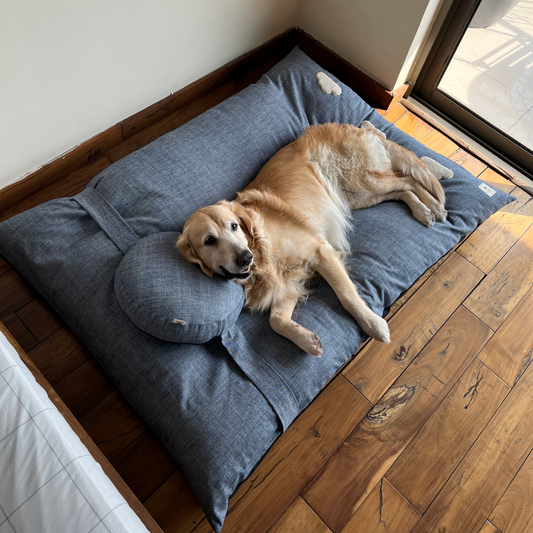 Flat dog beds | Extra Large dog beds India