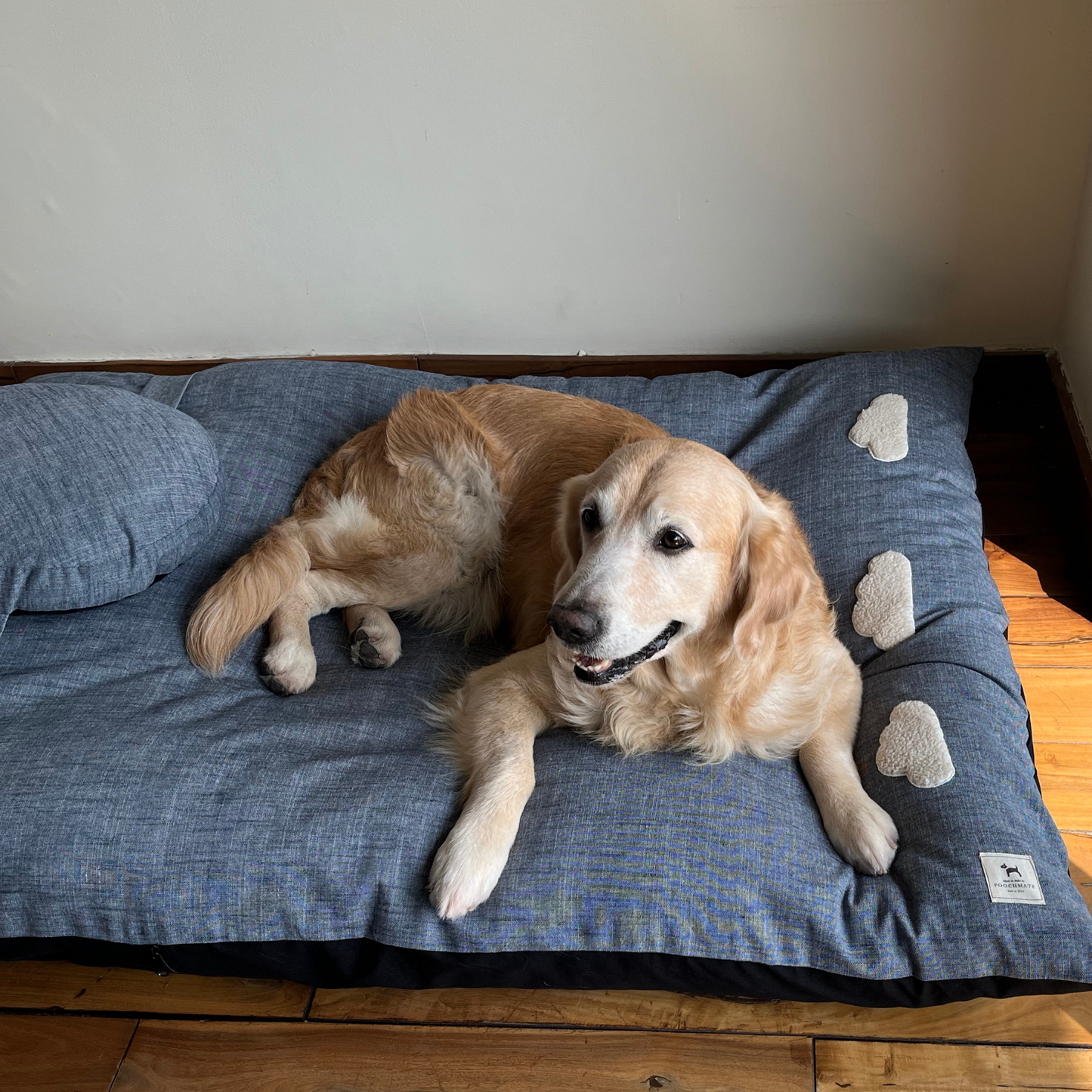 Large flat discount dog bed
