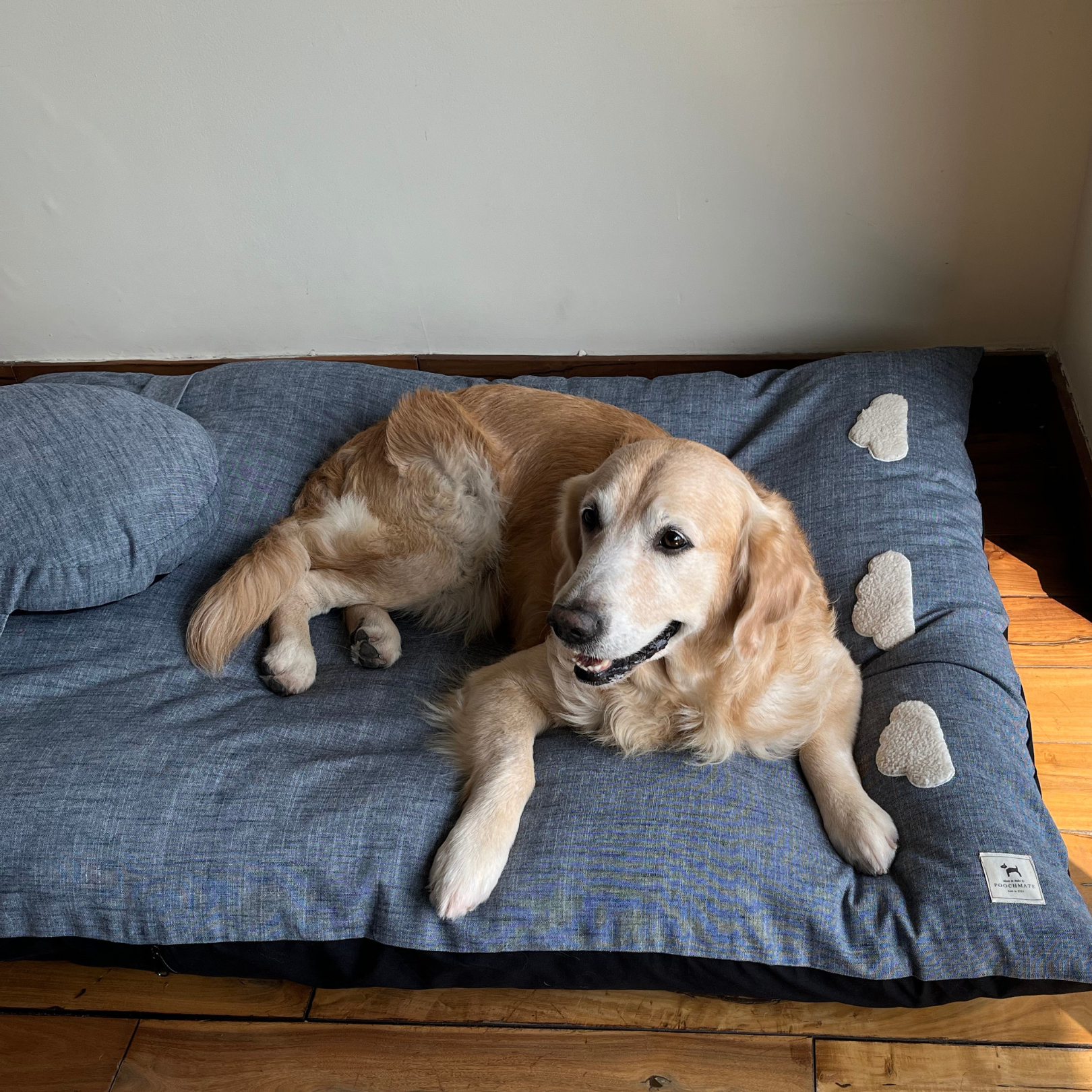 Large dog bed| large dog bed with washable cover