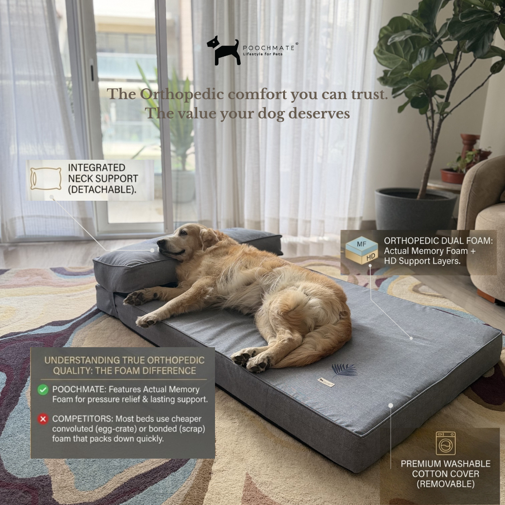 Orthopedic dog beds| Memory foam dog beds| Memory foam dog sofa bed | Memory foam dog bed with raised sides | PoochMate memory Foam Dog bed