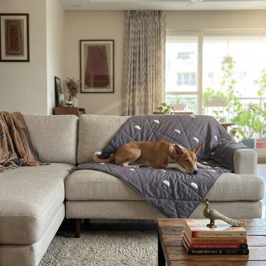 Cotton Dog blankets online India | Blankets for dogs| Best dog blankets India | Soft cotton dog blankets