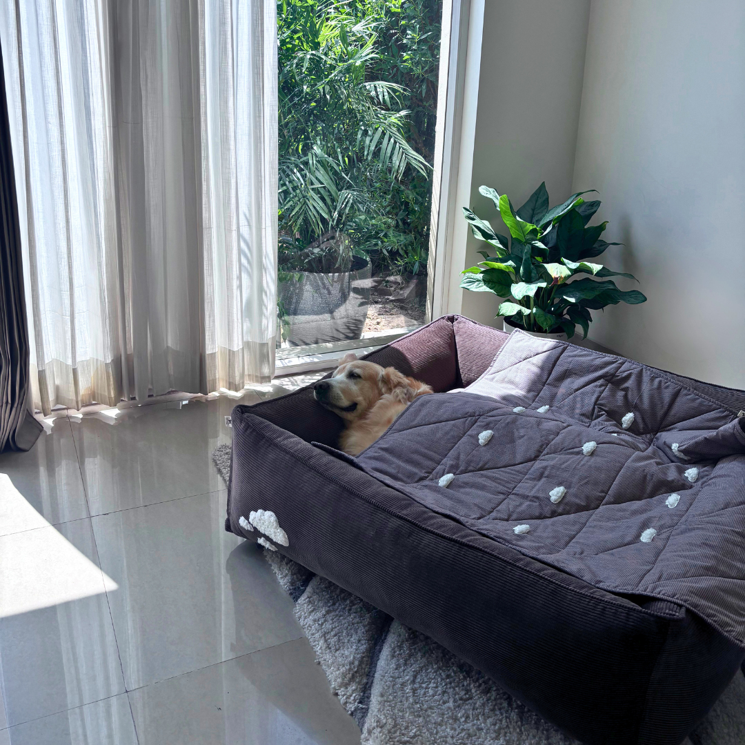 Blankets for large dogs | Quilted Dog Blankets India | PoochMate India