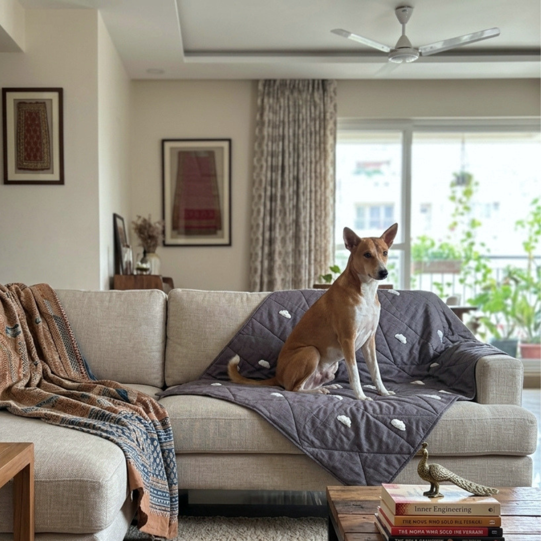 Cotton Dog blankets online India | Blankets for dogs| Best dog blankets India | Soft cotton dog blankets
