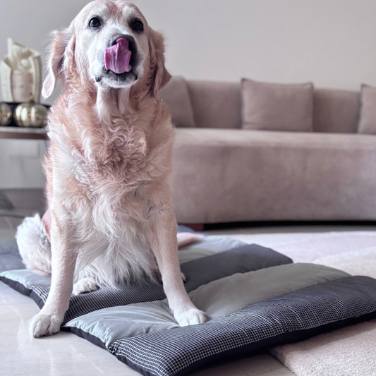 Quilted Cotton Dog Mats | PoochMate Bed